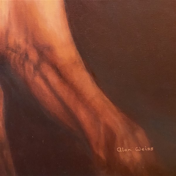 Red Stallion Detail 1 (600 x 600)
